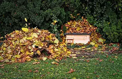 8cke-zeigt-igelh195164user-im-garten Wildbrücke zeigt Igelhäuser im Garten