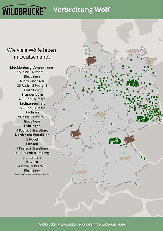Wildbrücke zeigt die Verbreitung vom Wolf auf einer Karte