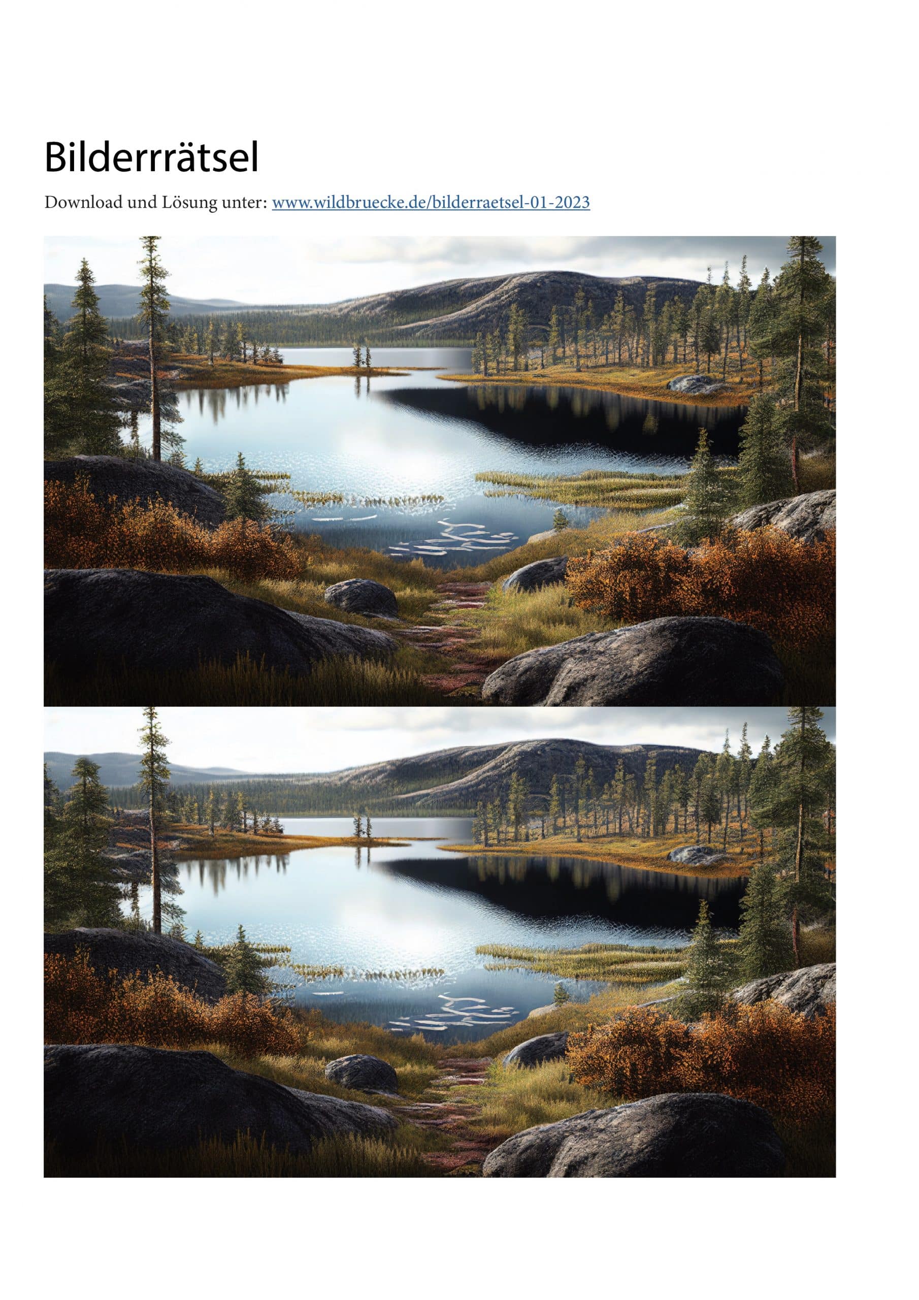 Rätselspass mit Wildbrücke Bilderrätsel 01/2023