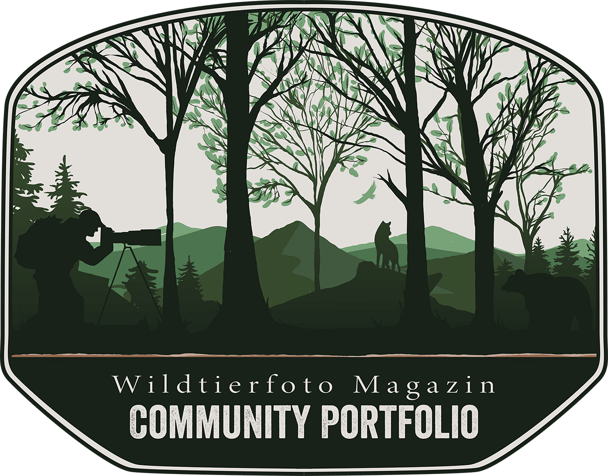 wildtierfot und Community Portfolio Wildtierfoto Magazin-kleinz Wildtierfoto Community Portfolio