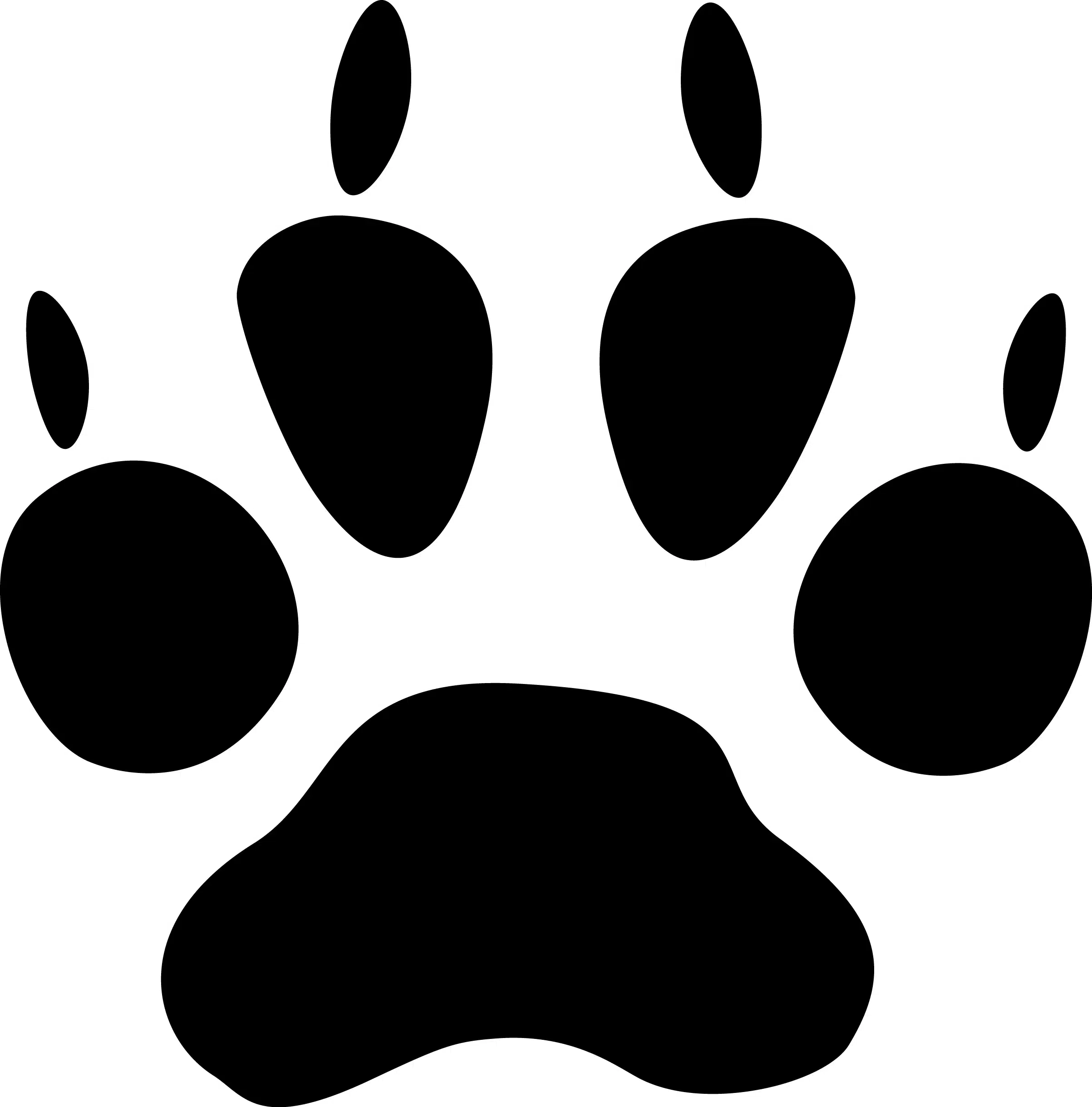 Marderhund Spur - Wildtiere in Deutschland