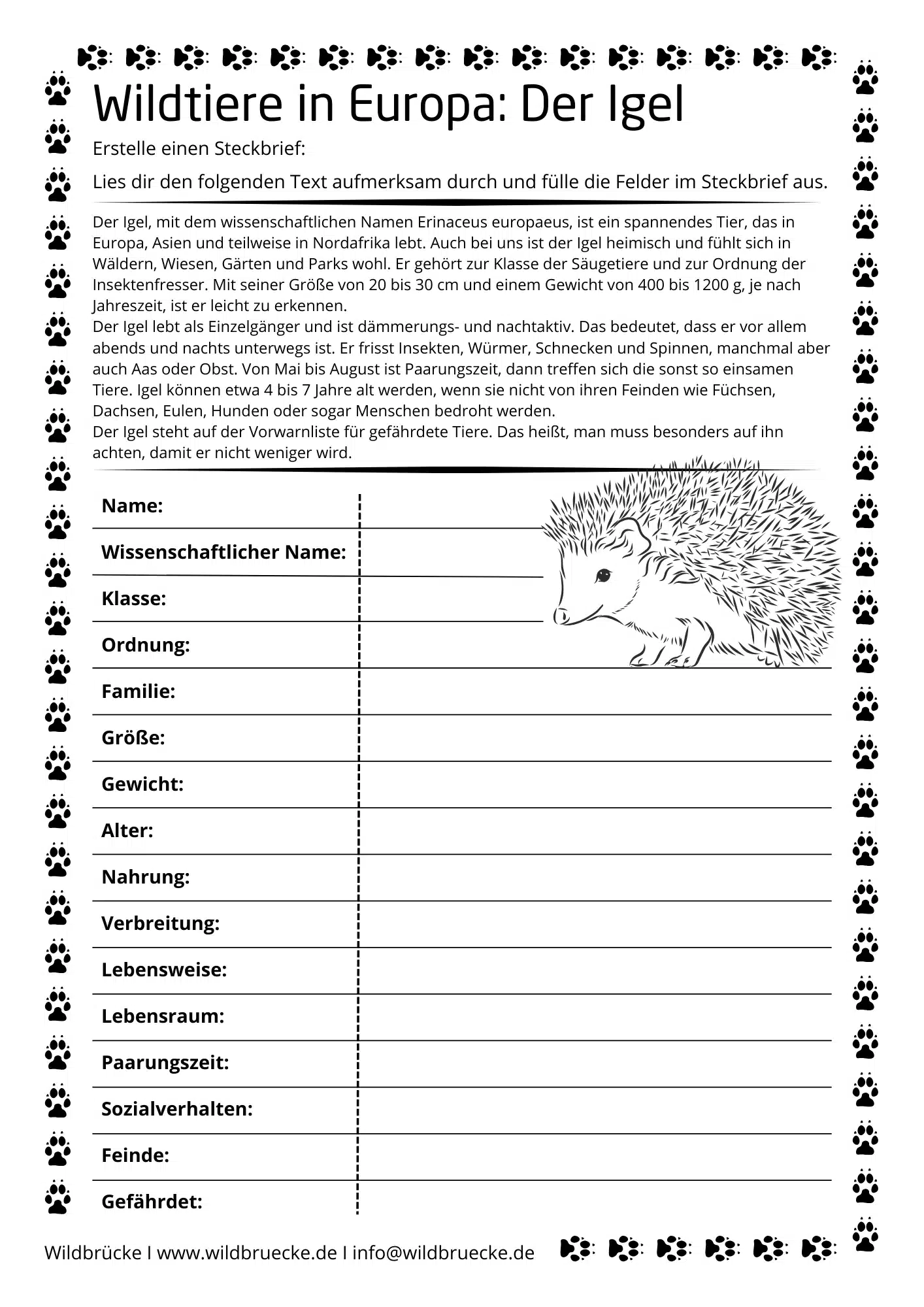 Arbeitsblatt Igel - Wildtiere in Europa