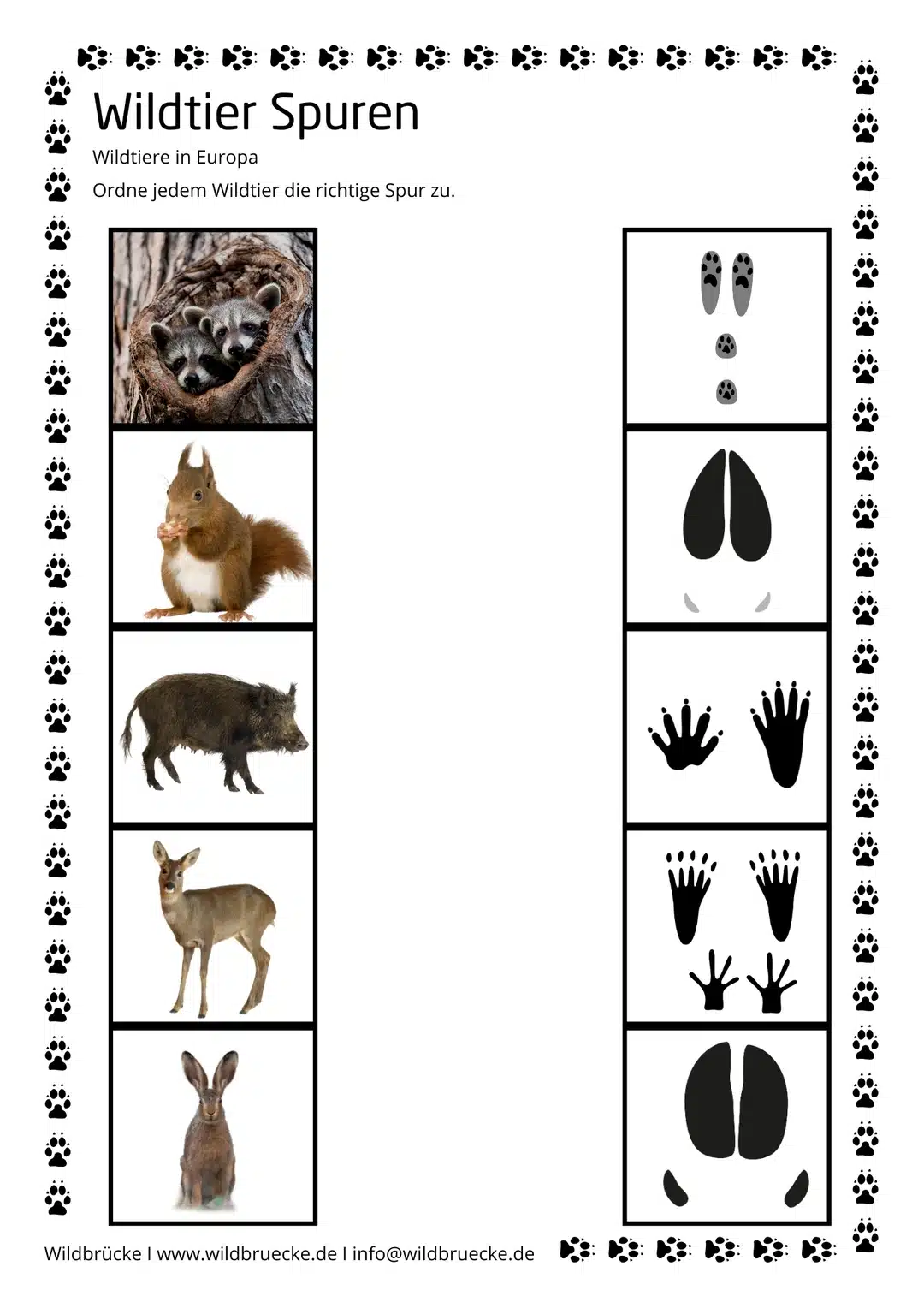 Arbeitsblatt Spuren Wildtiere - Wildtiere in Europa
