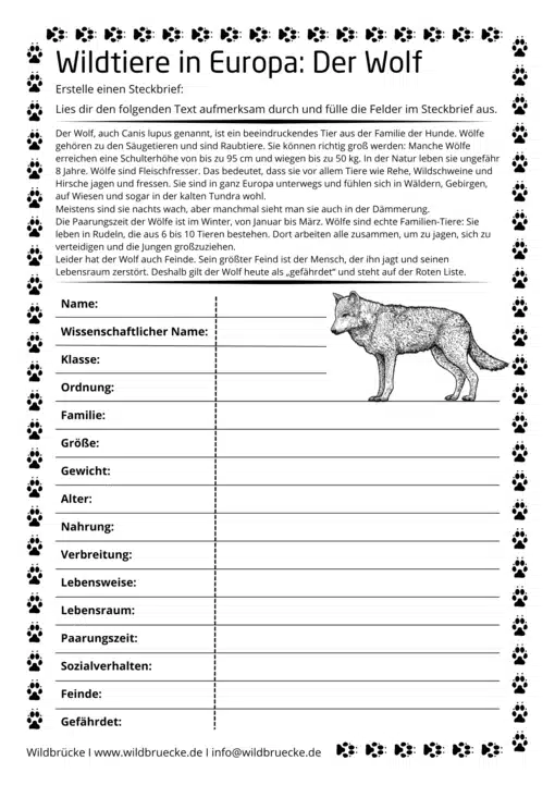 Arbeitsblatt Wolf - für Schüler der Grundschule