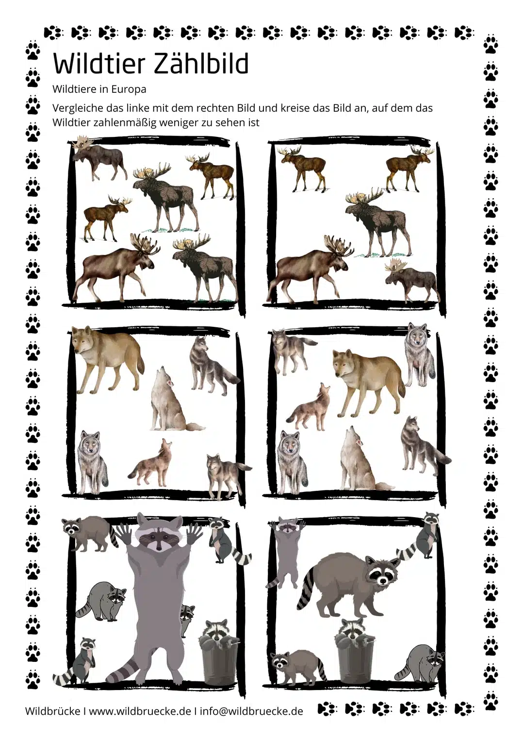 Arbeitsblatt Zählbild Wildtiere, elch, wolf, waschbär (1)
