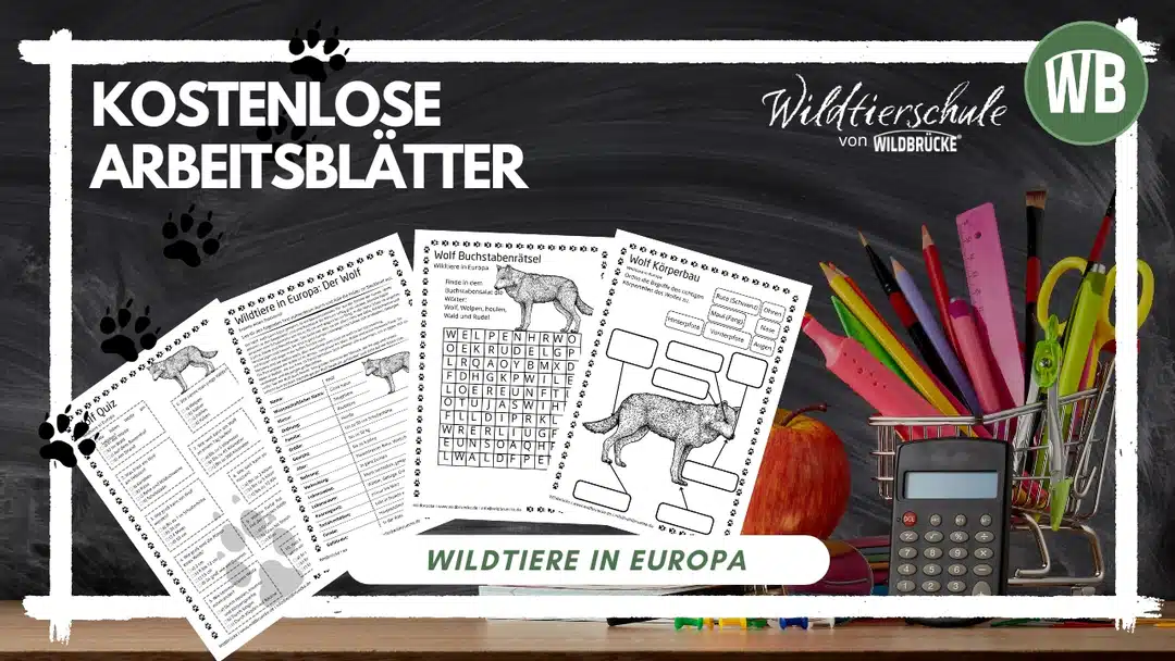 Kostenlose Arbeitsblätter - Wildtierschule Kostenlose Arbeitsblätter - Wildtierschule